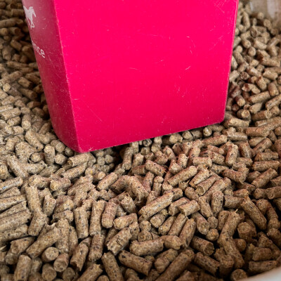 🎙️ Interview • Louise Vroylandt — Les micro organismes dans l’alimentation cover