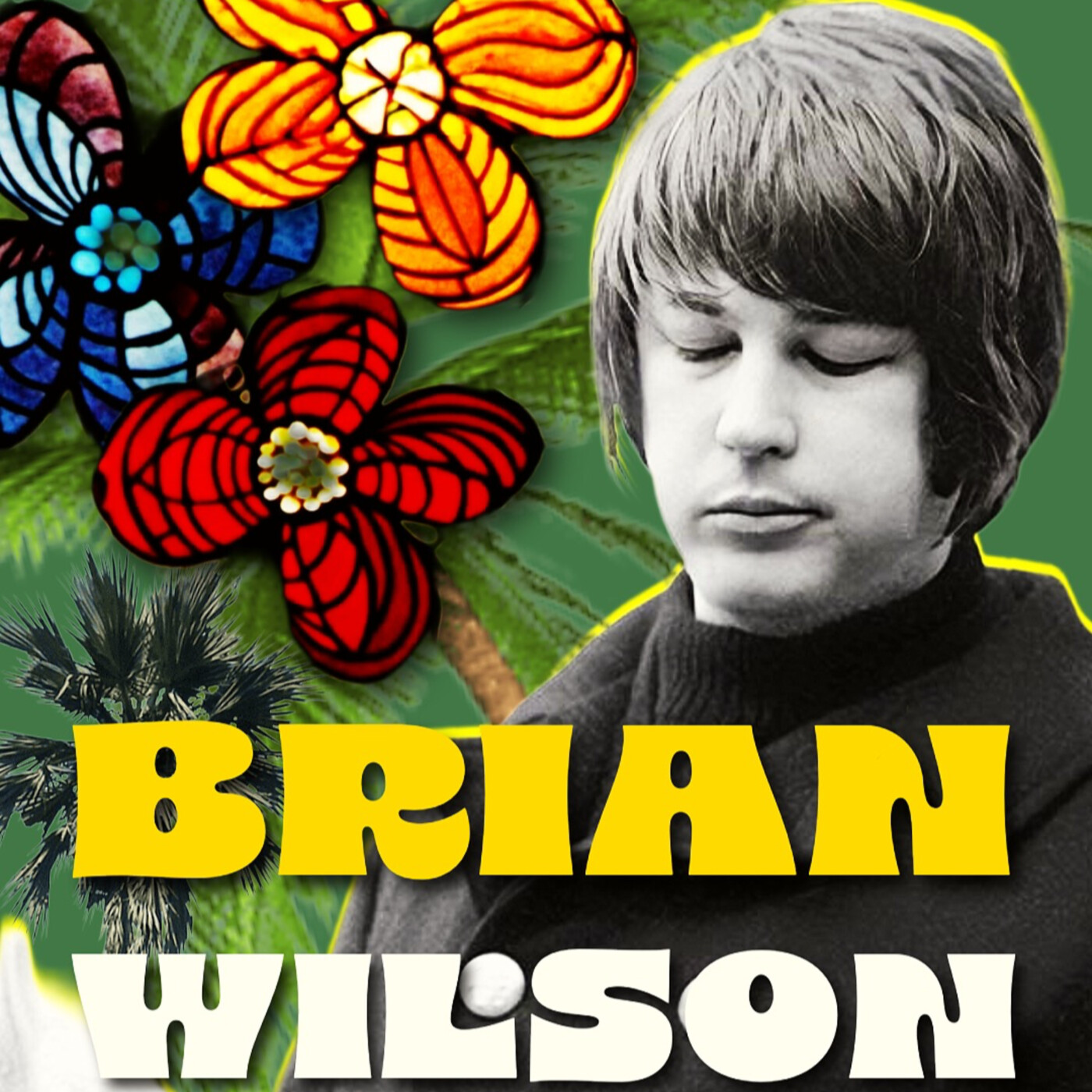 BRIAN WILSON : Le Cœur des Beach Boys Accordé au Silence episode artwork