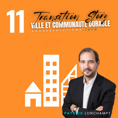 Show image for TRANSITION STORY