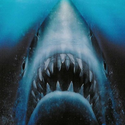 Le teaser de la semaine sur Un certain goût pour le no cover