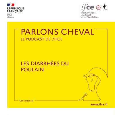 Ép. 98 | Les diarrhées du poulain – Marie Delerue cover