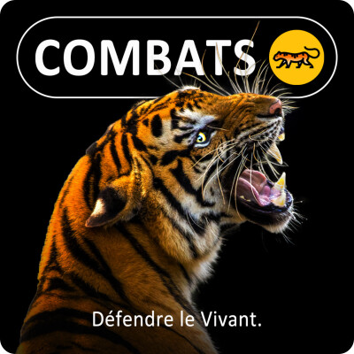 Qui sont les 3 frères de BSG ? (1/3) : Combats, un jumeau "sur le front" pour défendre le Vivant cover