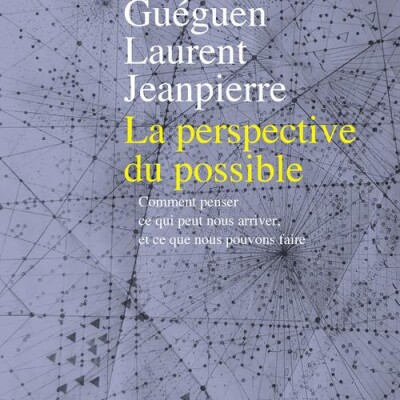 Haud Gueguen et Laurent Jeanpierre - La perspective du possible cover