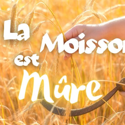 Parole et Évangile du jour | Samedi 14 octobre • Heureux, Bienheureux cover