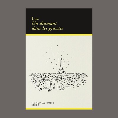 Luz - Un diamant dans les gravats cover