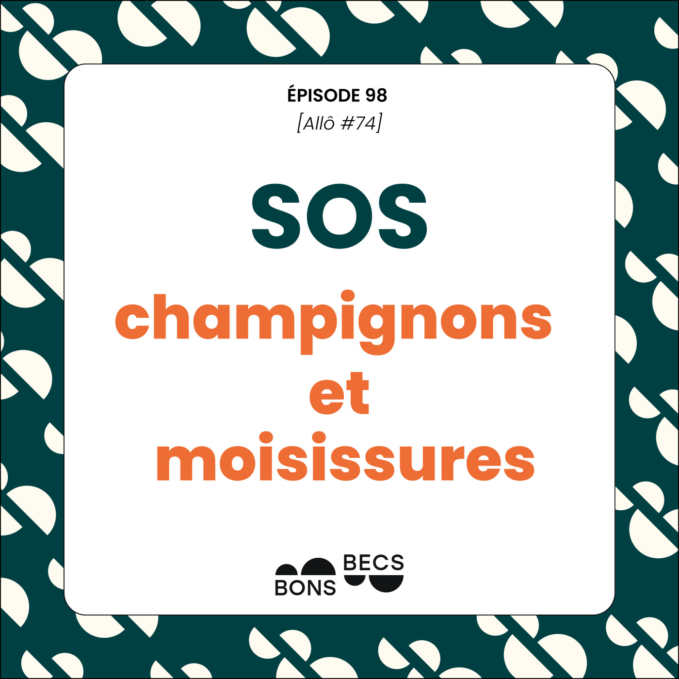 #098 • Au secours, j'ai des moisissures dans ma flûte ! [Allô #14]