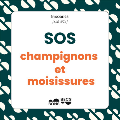#098 • Au secours, j'ai des moisissures dans ma flûte ! [Allô #14] cover