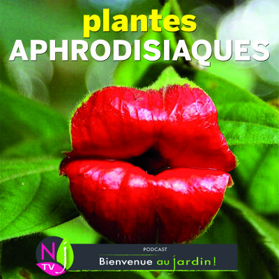 HISTOIRES BOTANIQUES: PLANTES APHRODISIAQUES, LE VRAI, LE FAUX cover