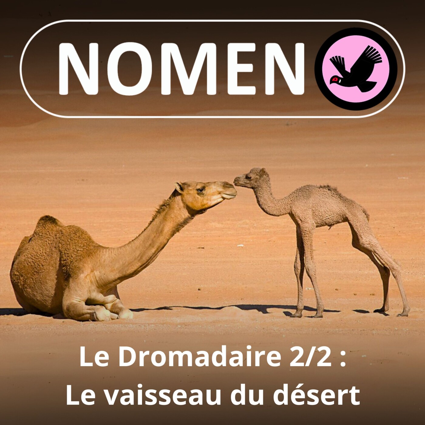 Nomen