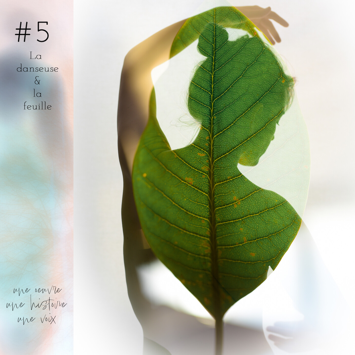 La danseuse et la feuille - #5 episode artwork