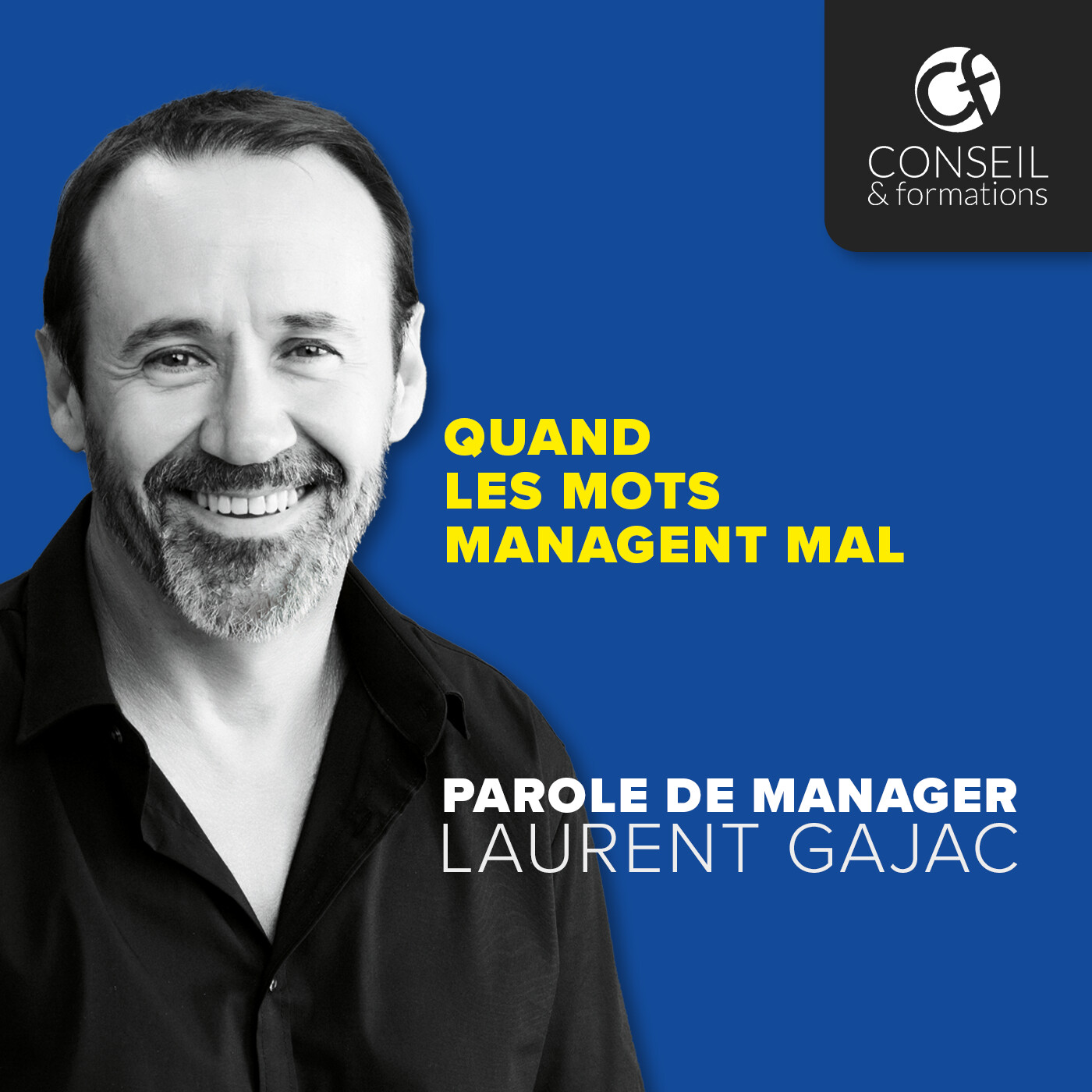 Quand les mots managent mal episode artwork