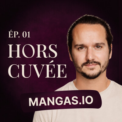 Expert en Digital : il lève 6M€ en 48h pour créer le Netflix du Manga | Romain Régnier - Mangas.io #1 cover