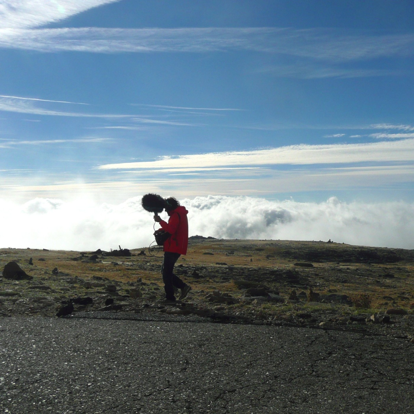 À la lisière de la ville, la forêt et la montagne | H1000