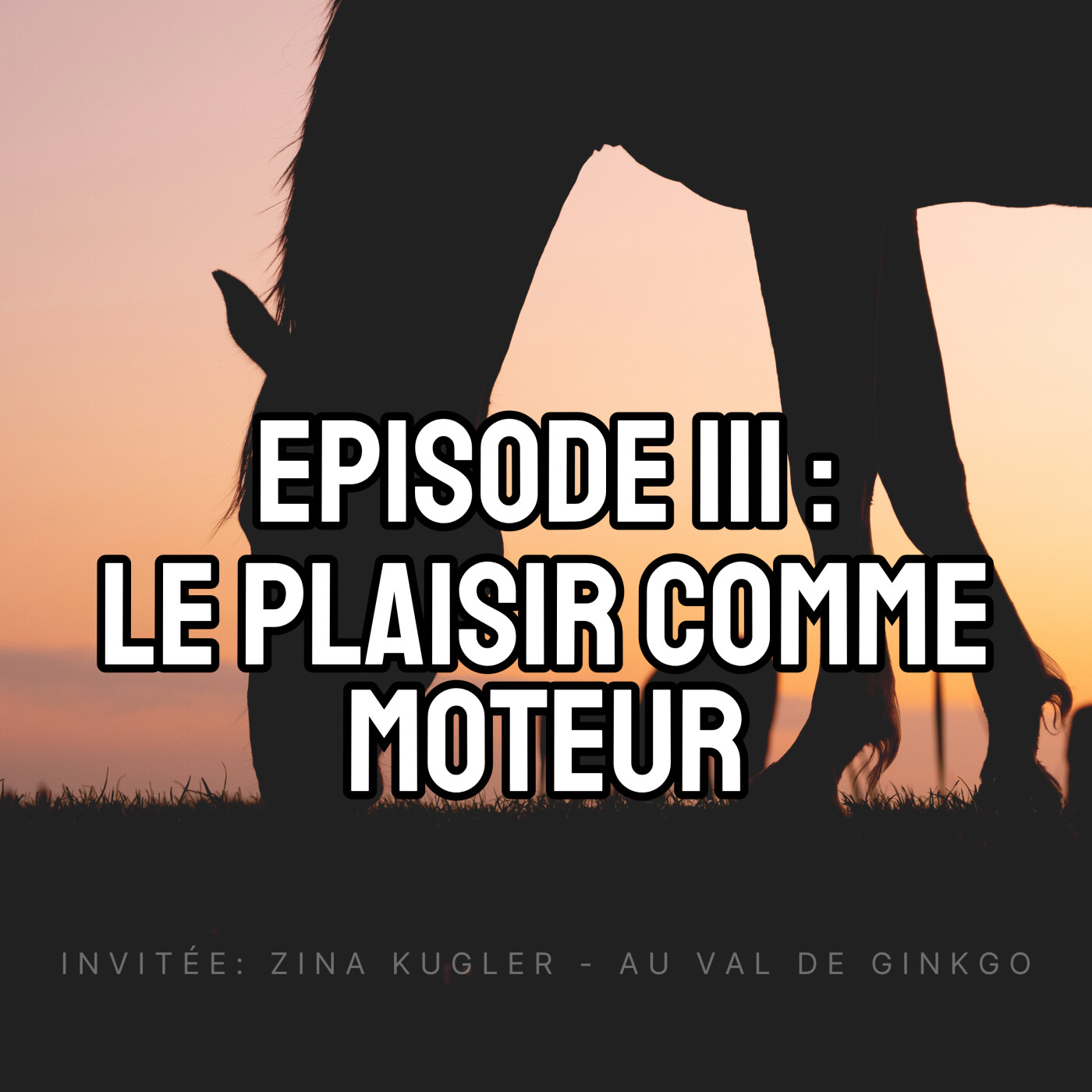 Au Val de Ginkgo : le plaisir et la compréhension comme moteur