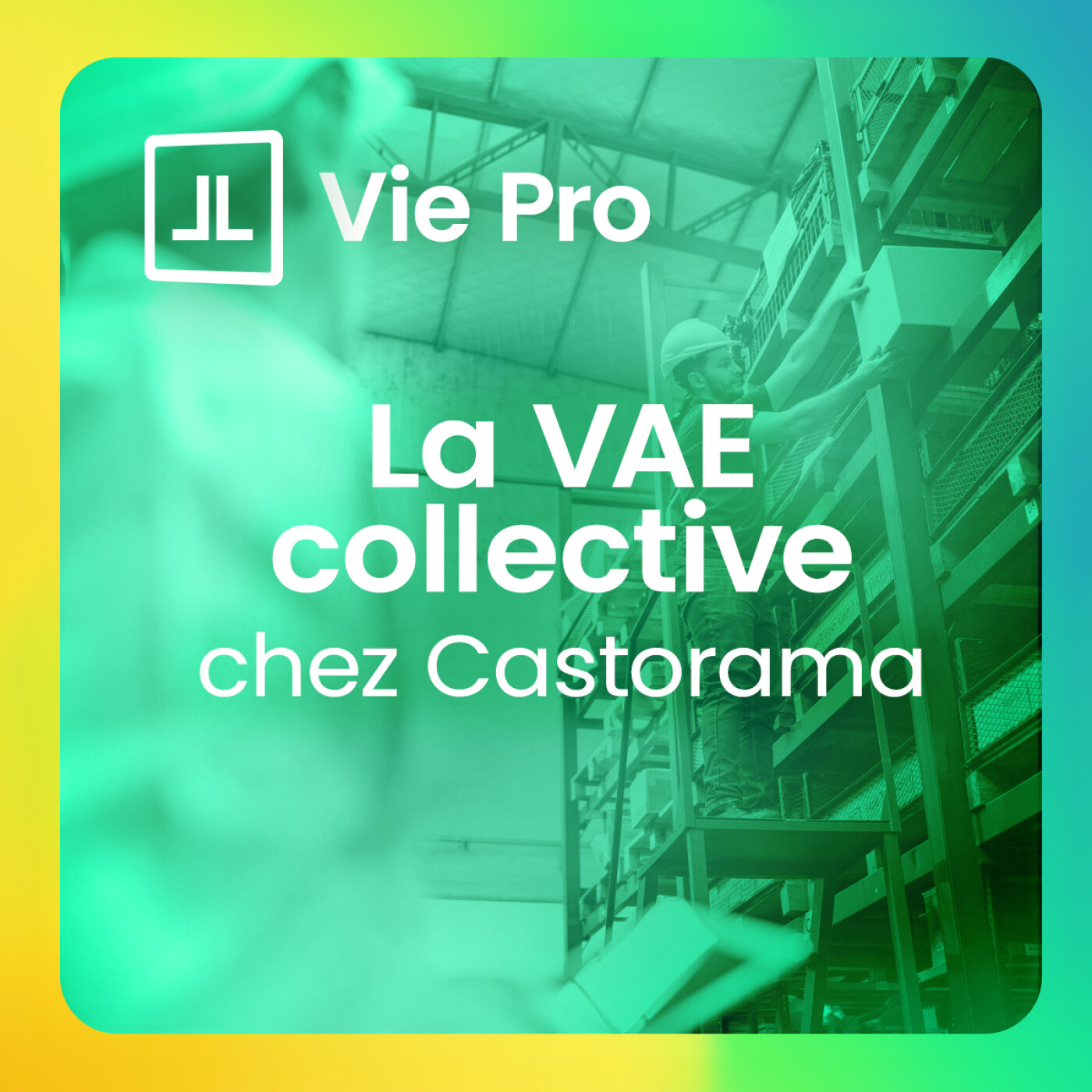 La VAE collective : l'exemple de Castorama episode artwork