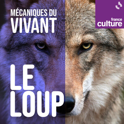 Mécaniques du vivant, saison 1 : Le Loup cover