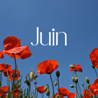 Les énergies de juin 2025 cover