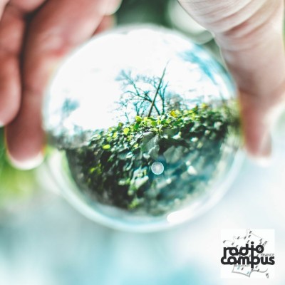 Extinctions, effondrement ? La biodiversité et nous | Univox cover