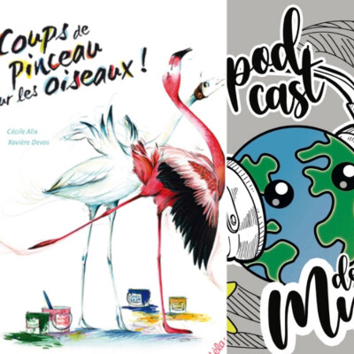 3 minutes chrono, Ep.08 : Coups de pinceau sur les oiseaux 🦅 cover