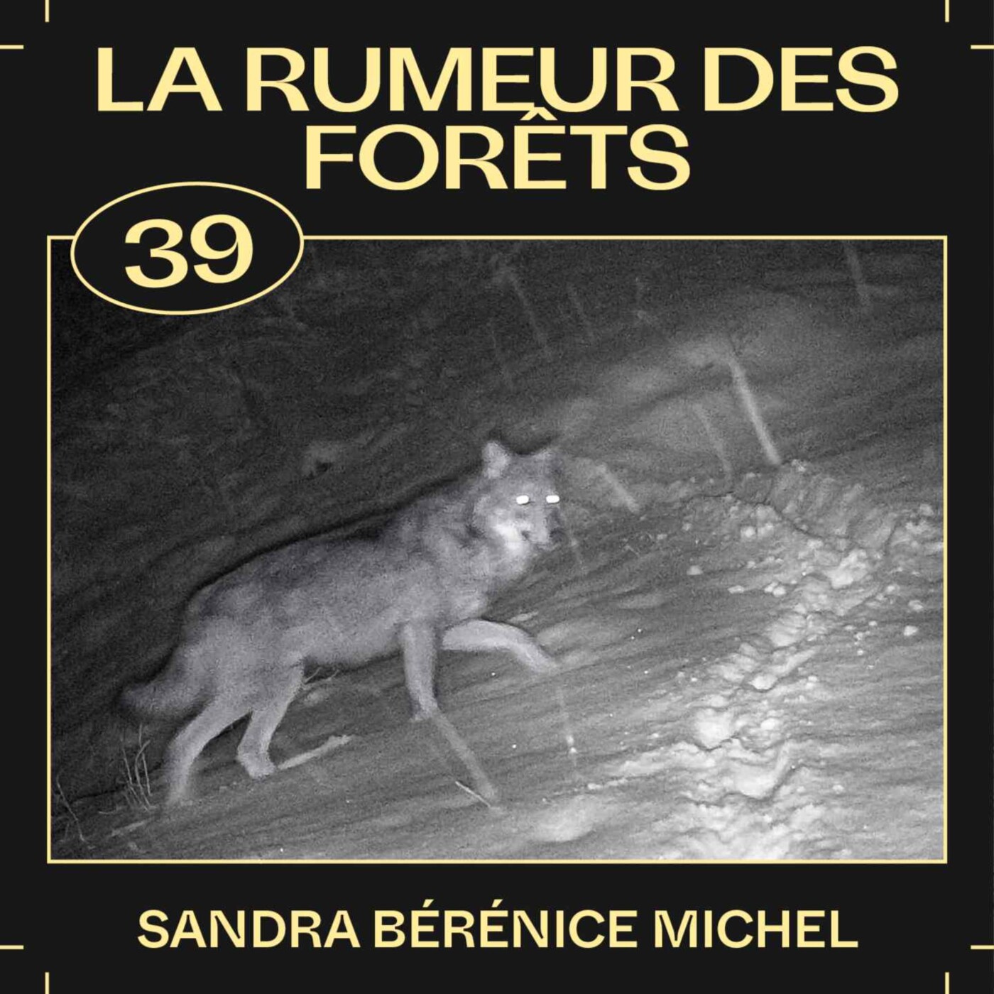 #39 â La rumeur des forĂȘts, avec Sandra BĂ©rĂ©nice Michel