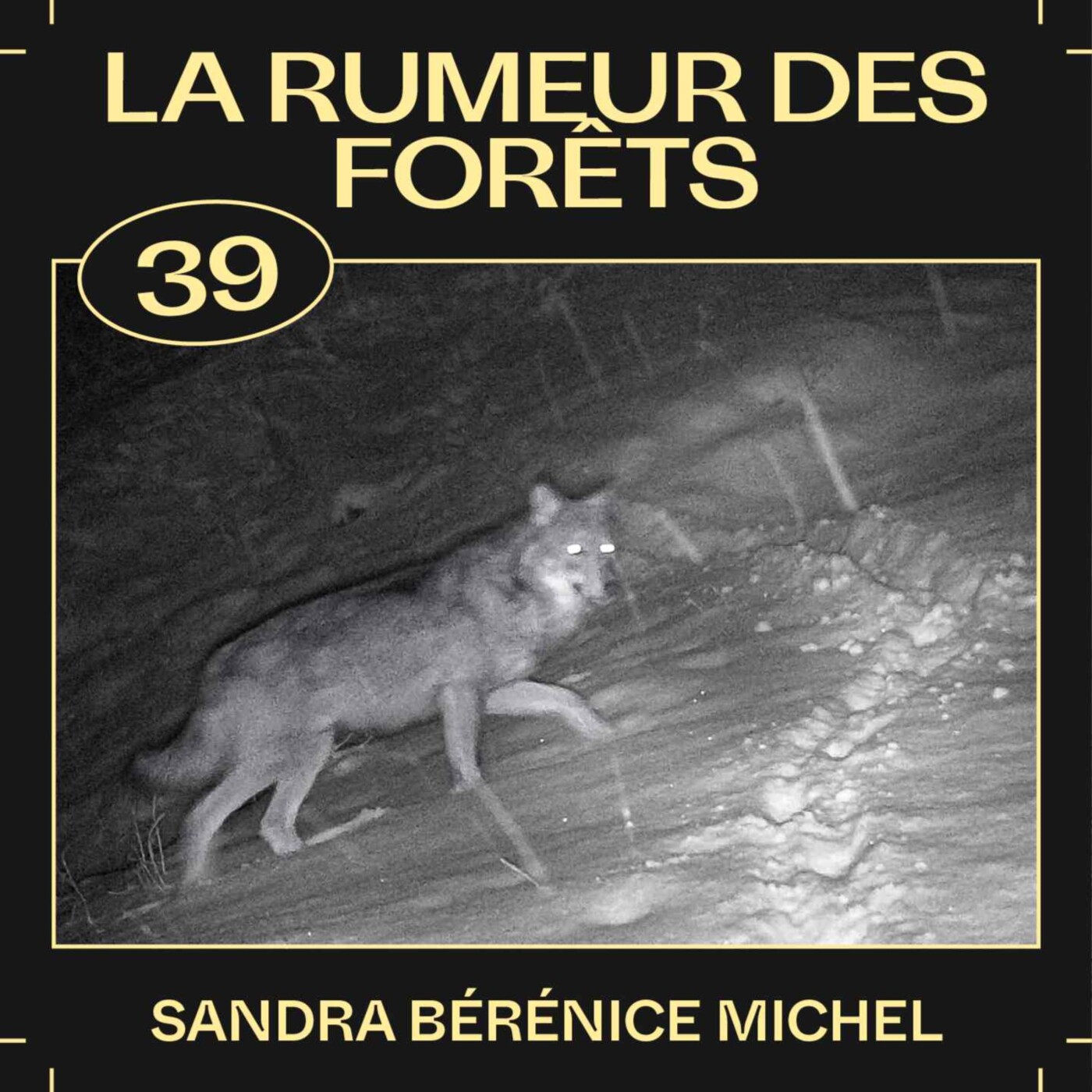 #39 — La rumeur des forêts, avec Sandra Bérénice Michel