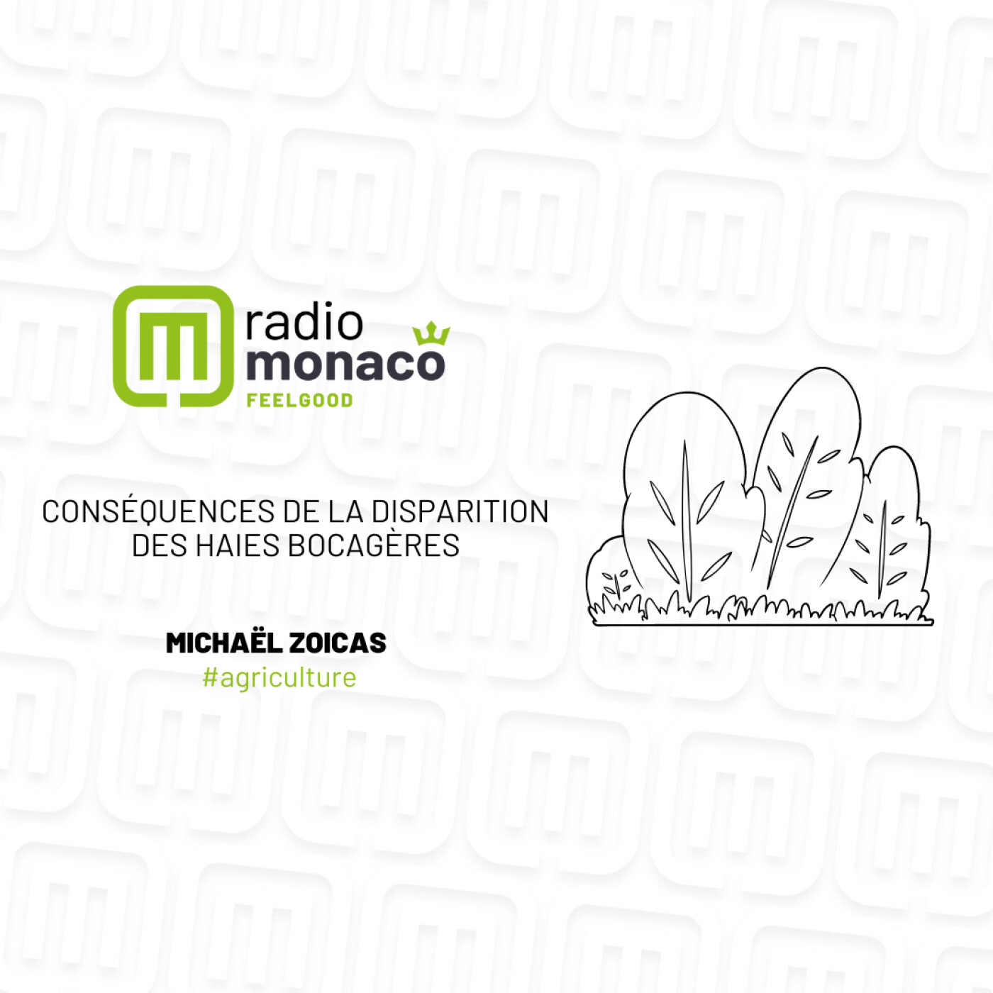 Les haies bocagères : leur disparition impacte la biodiversité episode artwork