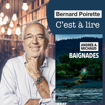 223. "Baignades" de Andrée A. Michaud cover