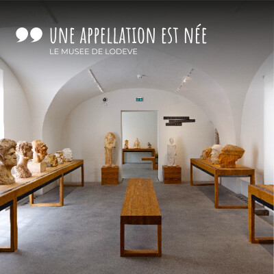 4 - Une appellation est née ! Terrasses du Larzac - Musée de Lodève cover
