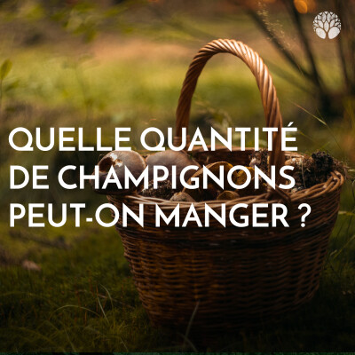 Quelle quantité de champignons peut-on manger ? cover