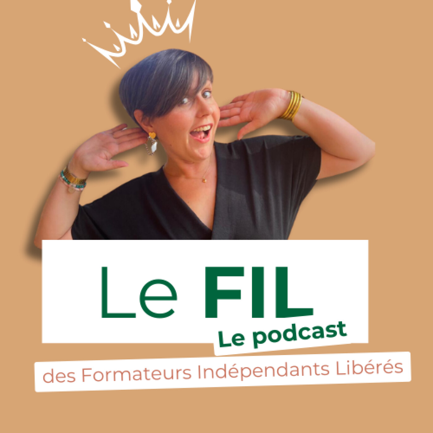 EP#03 - Petites actions, grands résultats : Mon Plan d'action minimaliste pour atteindre mes plus gros objectifs. episode artwork