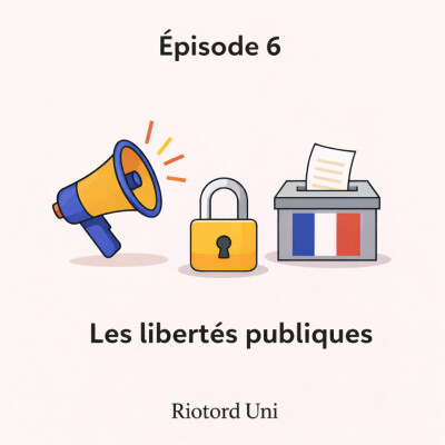 6. LES LIBERTES PUBLIQUES cover