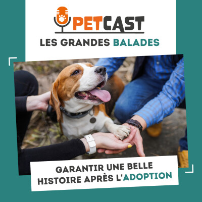 Garantir une belle histoire après l'adoption cover