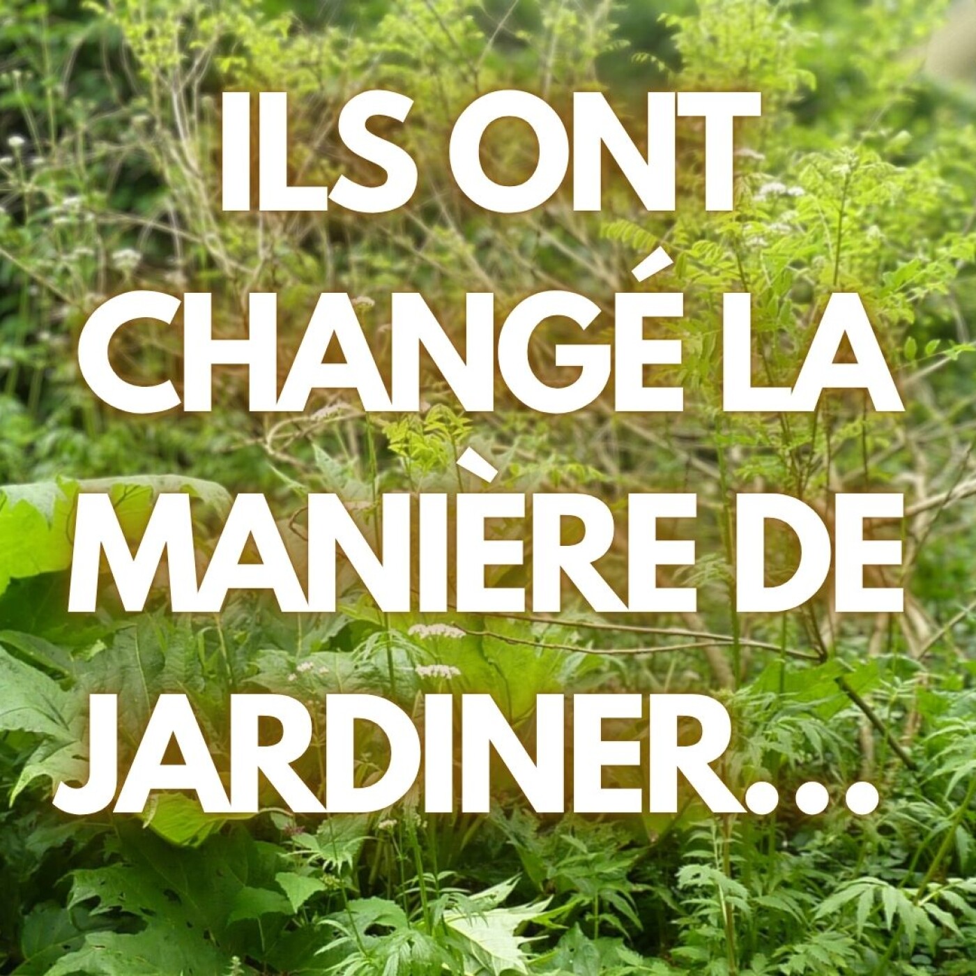 Martin Crawford et Robert Hart : Les pionniers qui ont inspirés toute une génération.