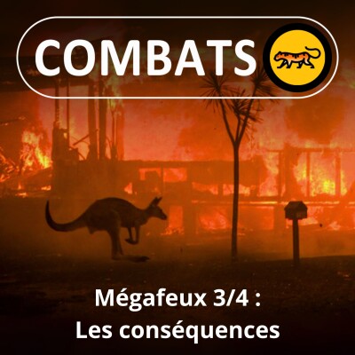 S01E44 Mégafeux 3/4 : Les conséquences (Sébastien Lahaye, pompier et scientifique) cover