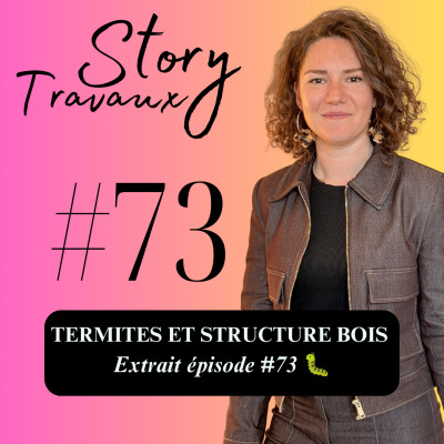 Comment les termites détruisent une structure bois sans aucun signe visible 🐛 [Extrait Épisode #73] cover