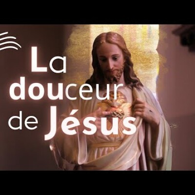 Parole et Évangile du jour | Jeudi 20 juillet • L'humilité du coeur de Jésus cover