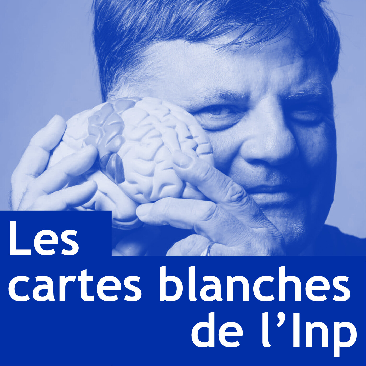 Les cartes blanches de l\'Inp