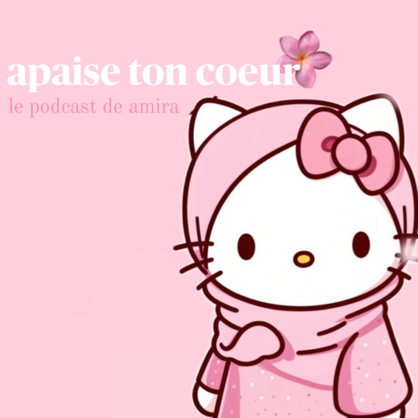 ma re découverte de l'islam