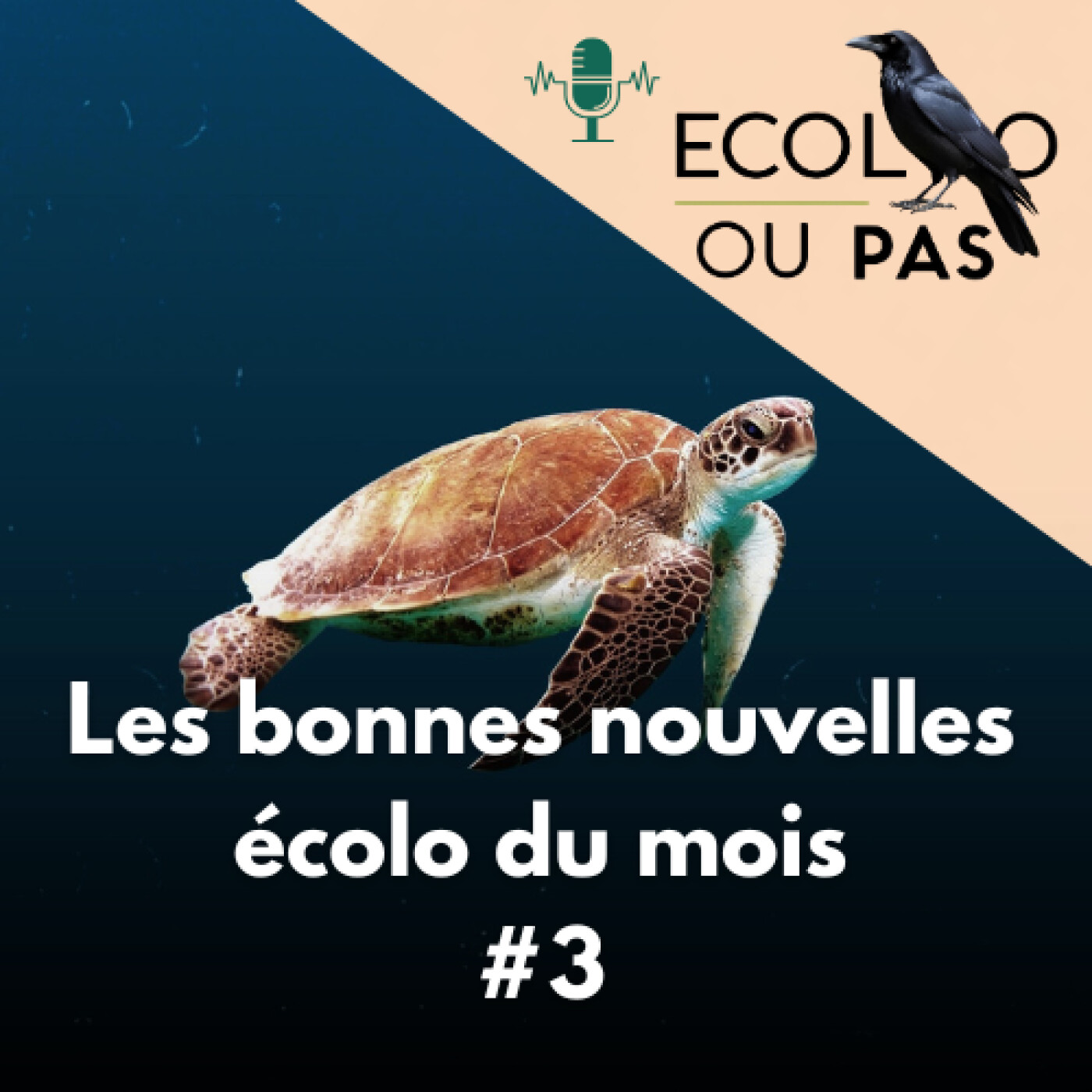 Ecolo Ou Pas ?