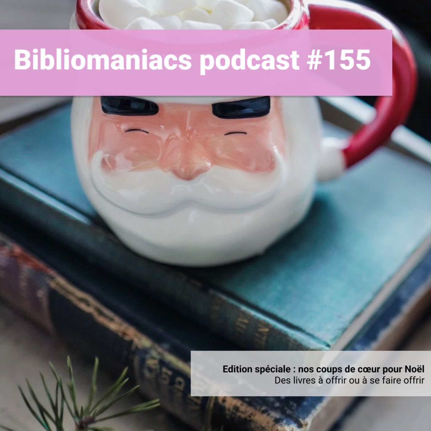 Bibliomaniacs épisode 155 Nos coups de cœur pour Noël