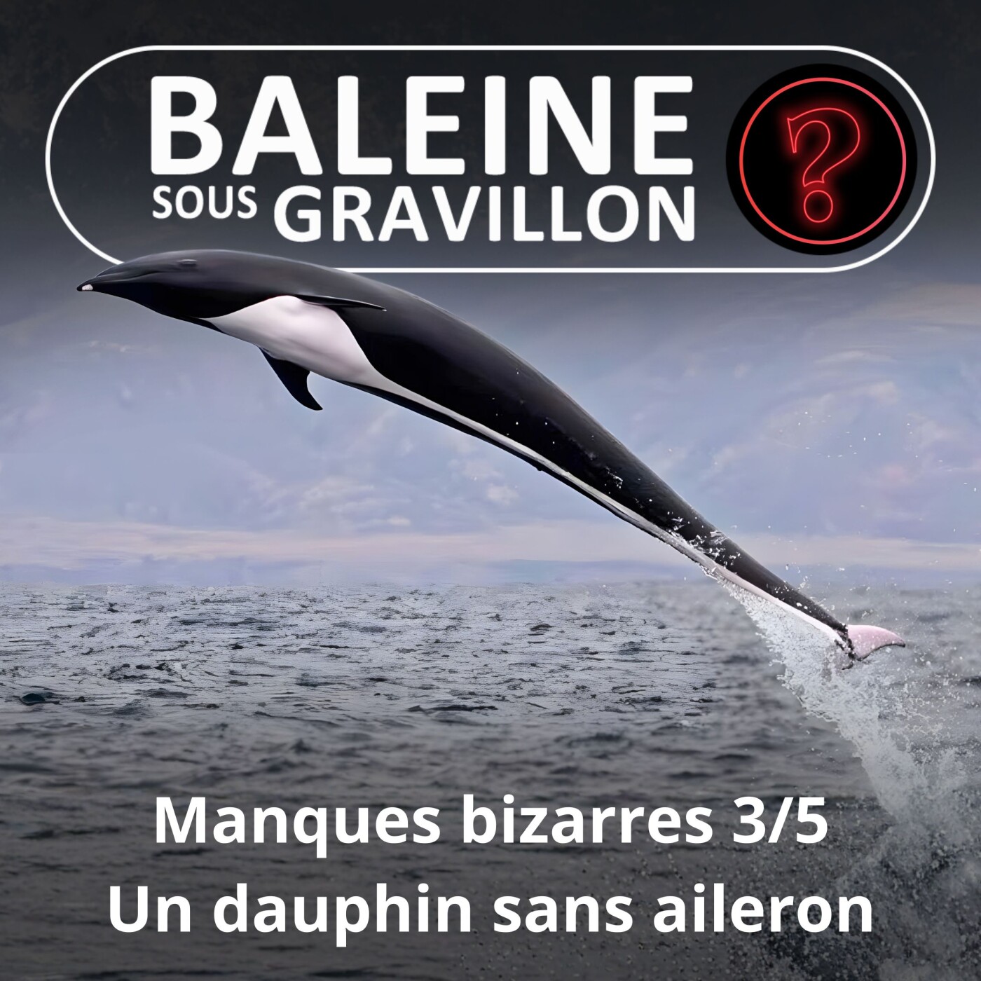 S07E110 Vous avez dit bizarre ? Manques 3/5 : Le Dauphin aptère, un voltigeur sans aileron