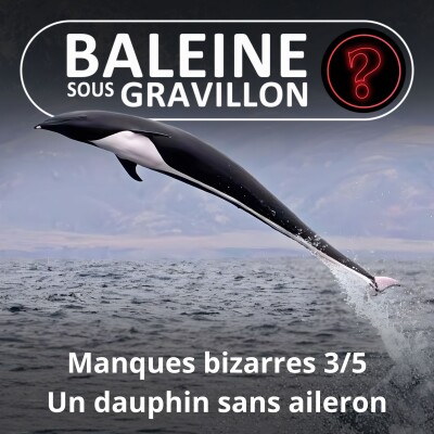 S07E110 Vous avez dit bizarre ? Manques 3/5 : Le Dauphin aptère, un voltigeur sans aileron cover