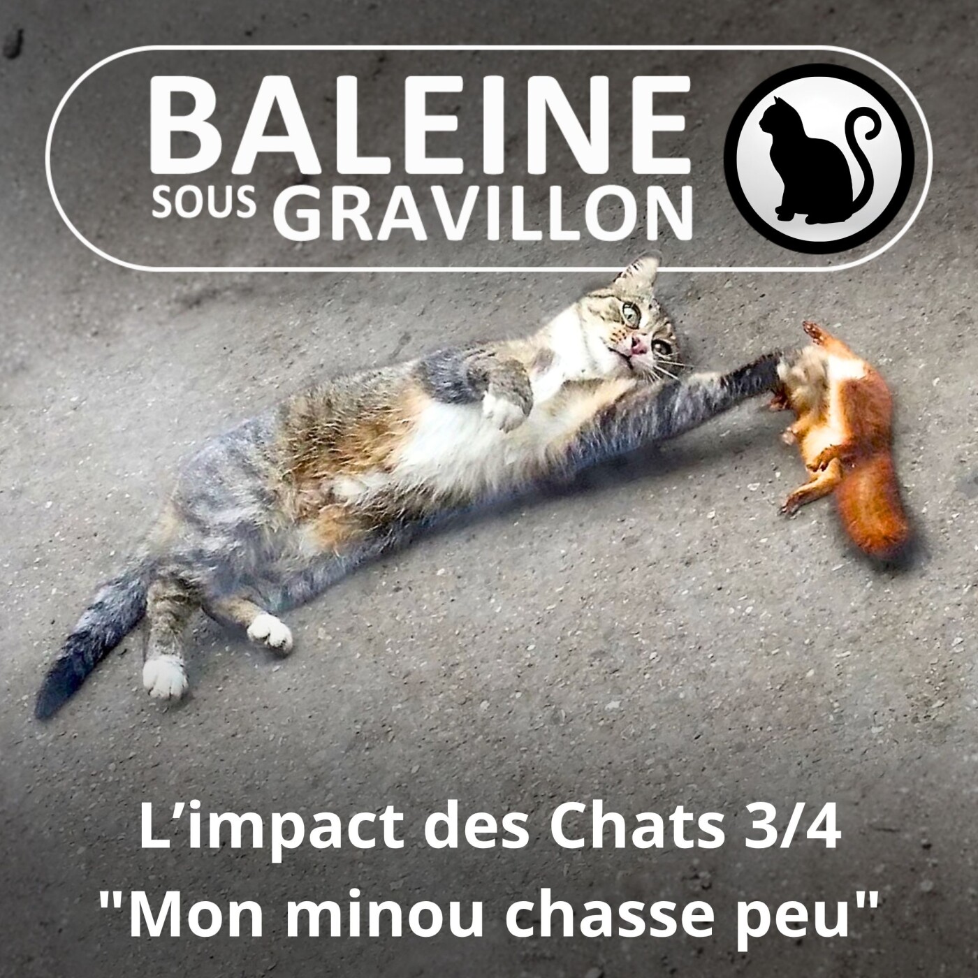 S02E54 L'impact des Chats 3/4 : "Mon minou chasse peu ou pas" episode artwork