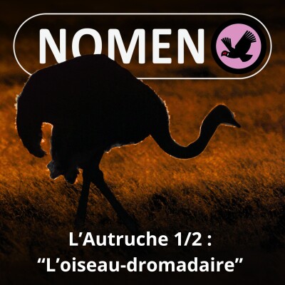 S05E18 L'Autruche 1/2 : "L'oiseau-dromadaire" cover
