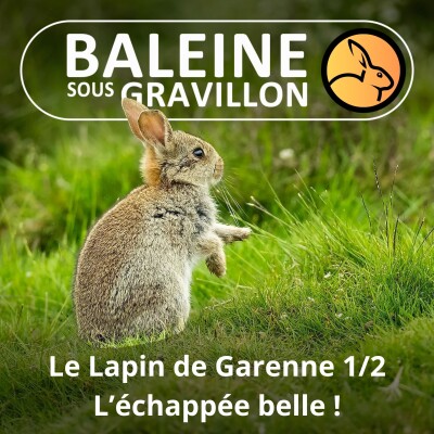 S05E34 Le Lapin de garenne 1/2 : Le Lapin de garenne, une échappée belle ... (Hélène Dupuy) cover