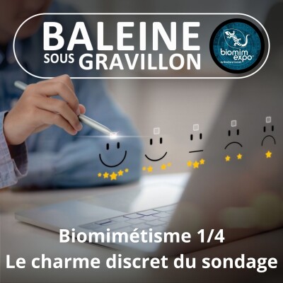S07E36 Biomimétisme et bioinspiration 1/4 : Le charme discret des sondages... (Alain Renaudin) cover