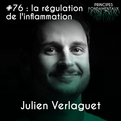 #76 : Julien Verlaguet - la régulation de l'inflammation pour mieux affronter l'infection cover