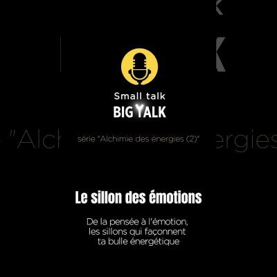 [Small Talk-Big Talk] : Le sillon des émotions — La pensée, l'émotion, la bulle énergétique cover
