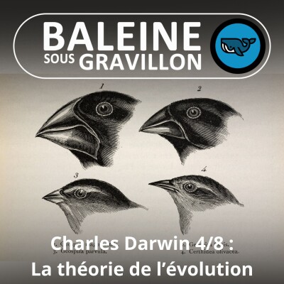 S03E91 Charles Darwin 4/8 : La théorie de l'Évolution (Jean-Claude Simard) cover