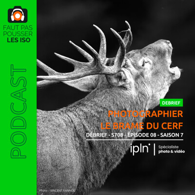DÉBRIEF - S708 - Photographier le brame du cerf cover